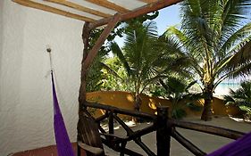Beachfront Hotel La Palapa - Adults Only photos Exterior