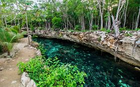 Cenotes Casa Tortuga Tulum photos Exterior